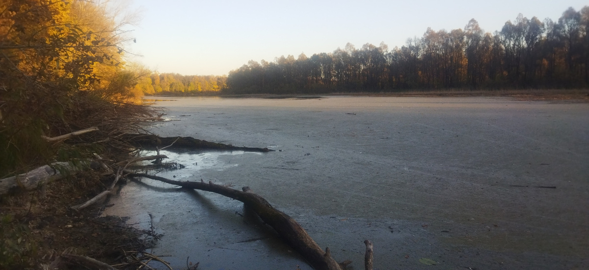 Озеро, которое я нашла...