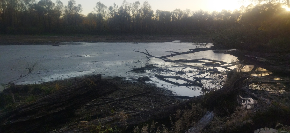 Озеро, больше похожее на болото.