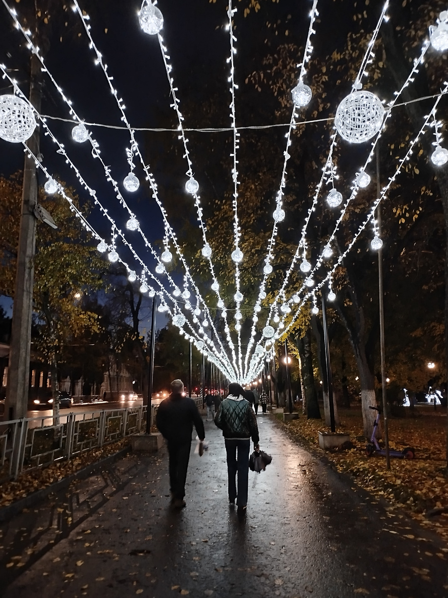 фото автора/Вологда, ул.Октябрьская