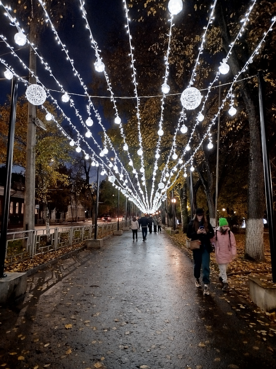 фото автора/Вологда, ул. Октябрьская
