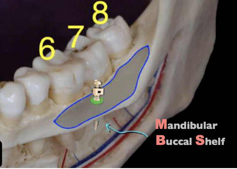 Из открытых источников сети интернет