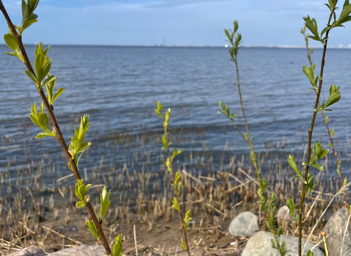 Создать карусель