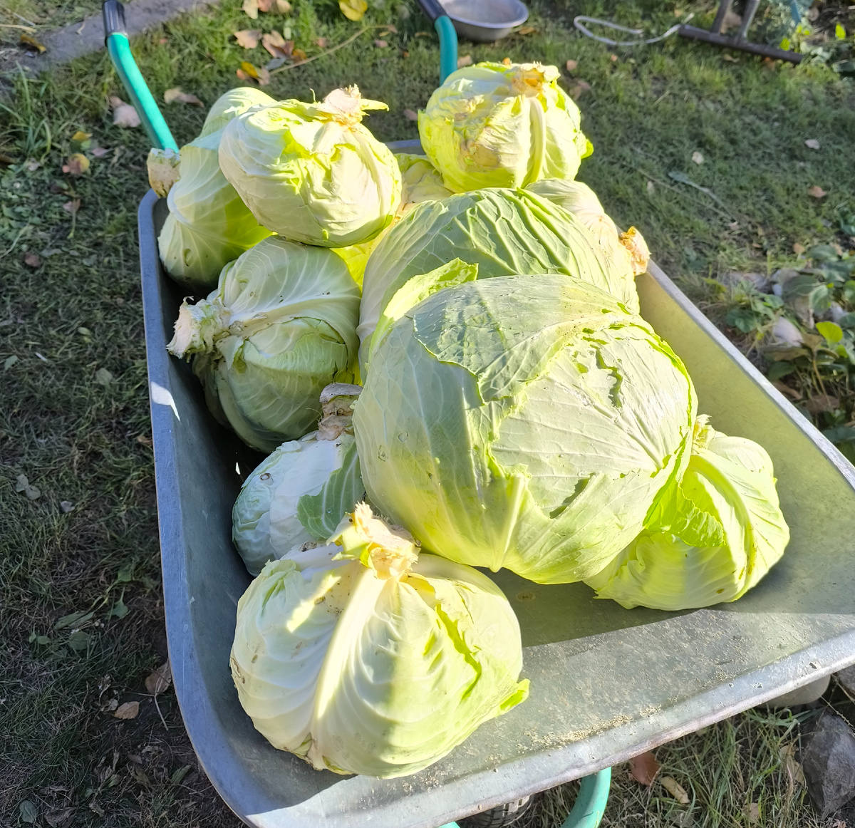 "Тачка на прокачке"