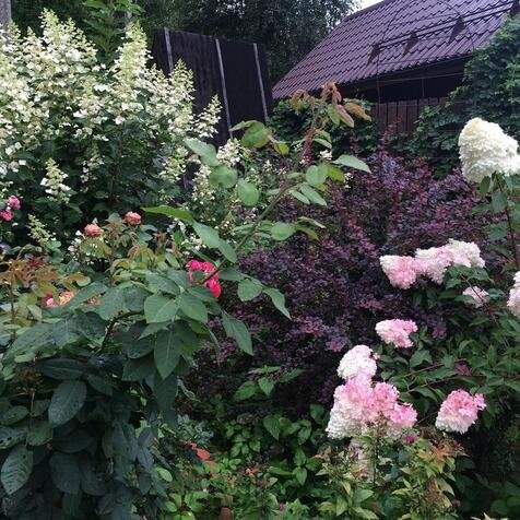 Даже такие фото тоже подойдут! 