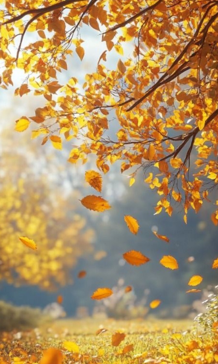 Фото  с Pinterest. 