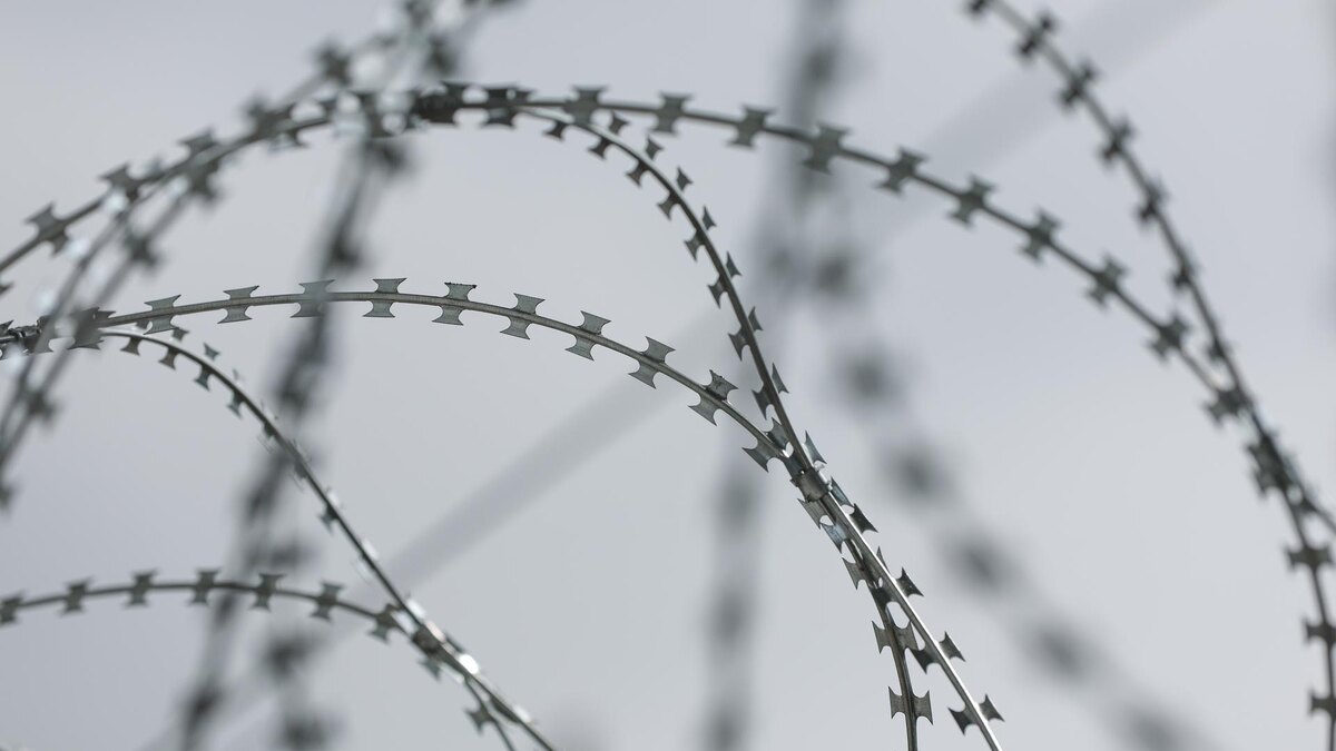    Фото: Belkin Alexey/news.ru