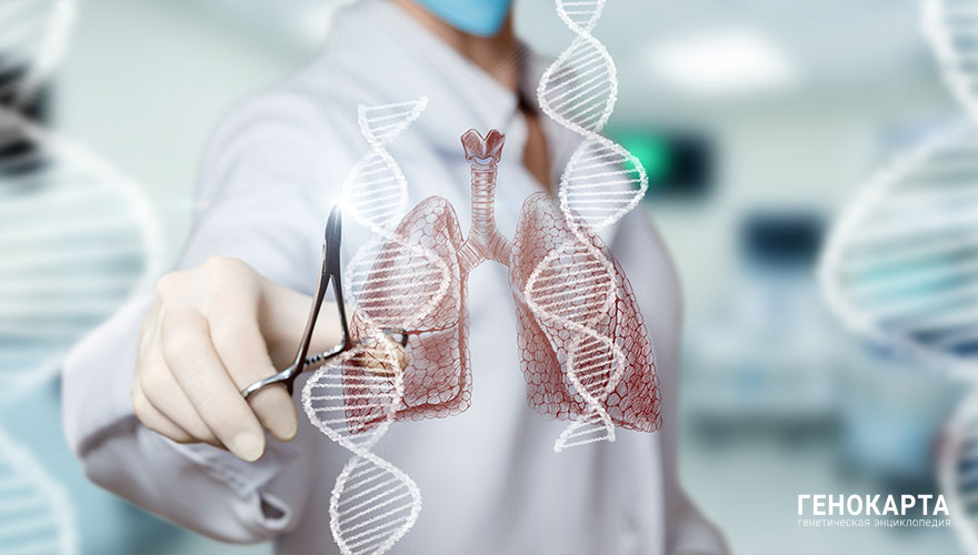 Natali _ Mis // shutterstock.com