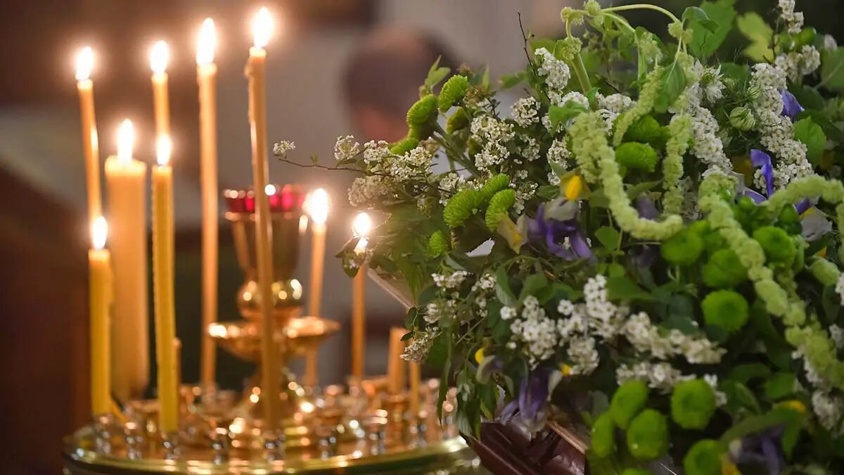    Фото: vm.ru Полина Белоусова