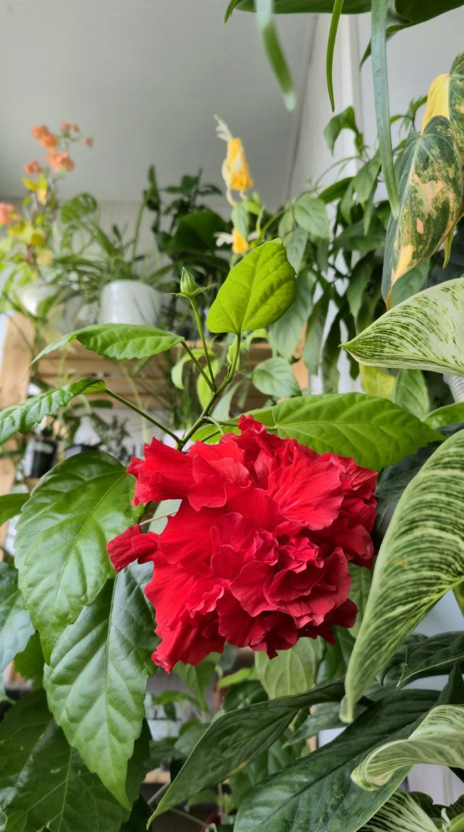 Фото автора канала