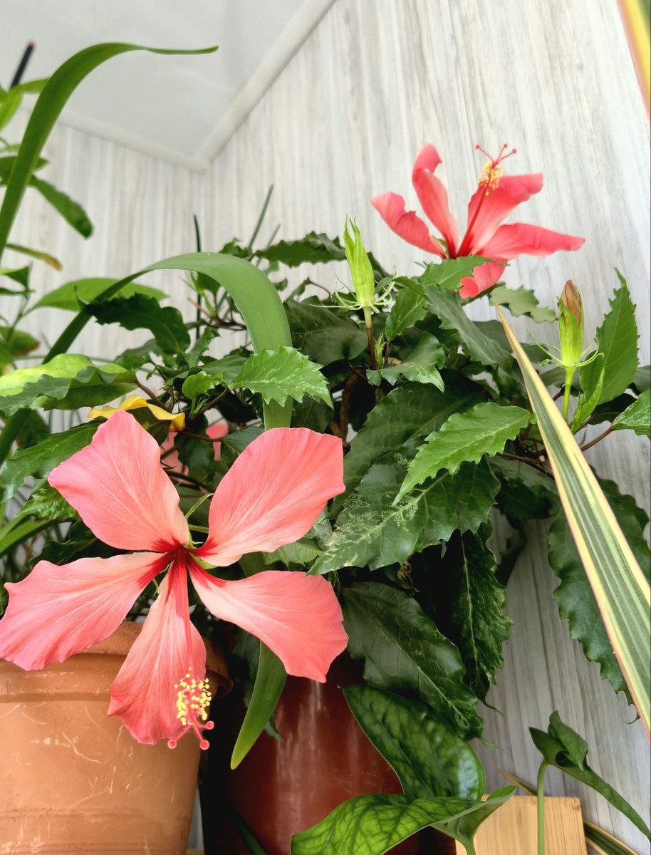 Фото автора канала