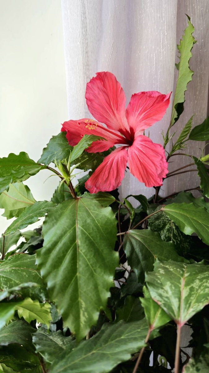 Фото автора канала