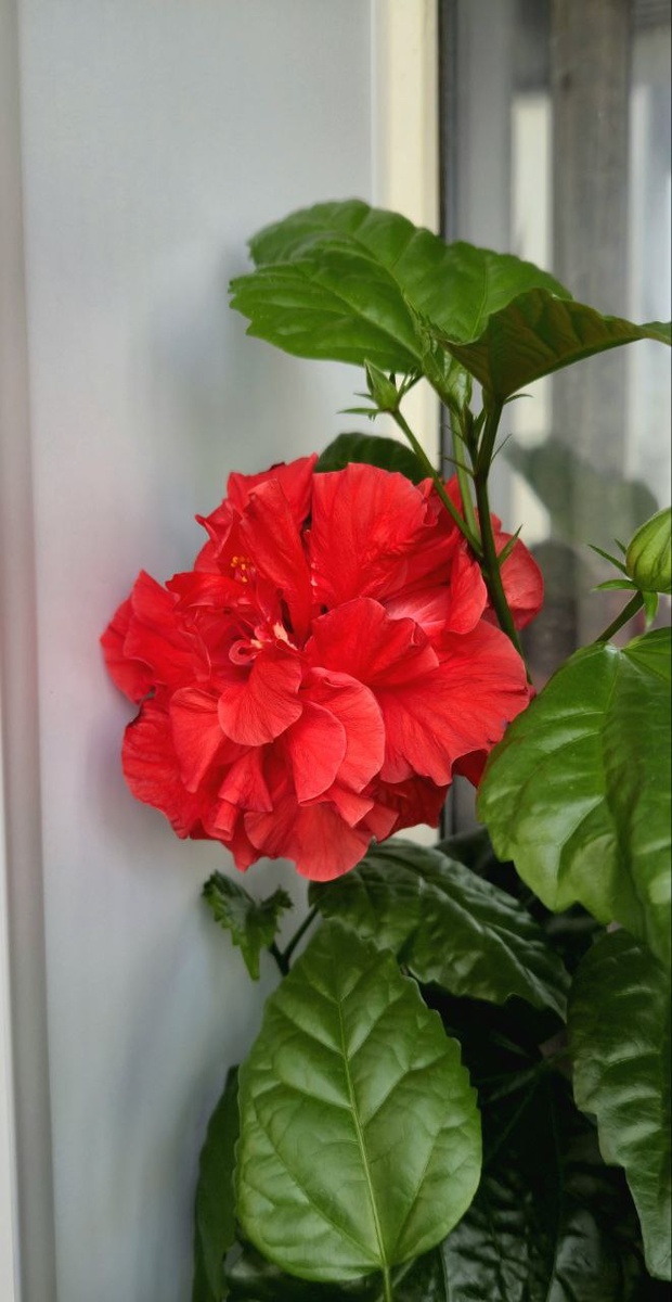 Фото автора канала