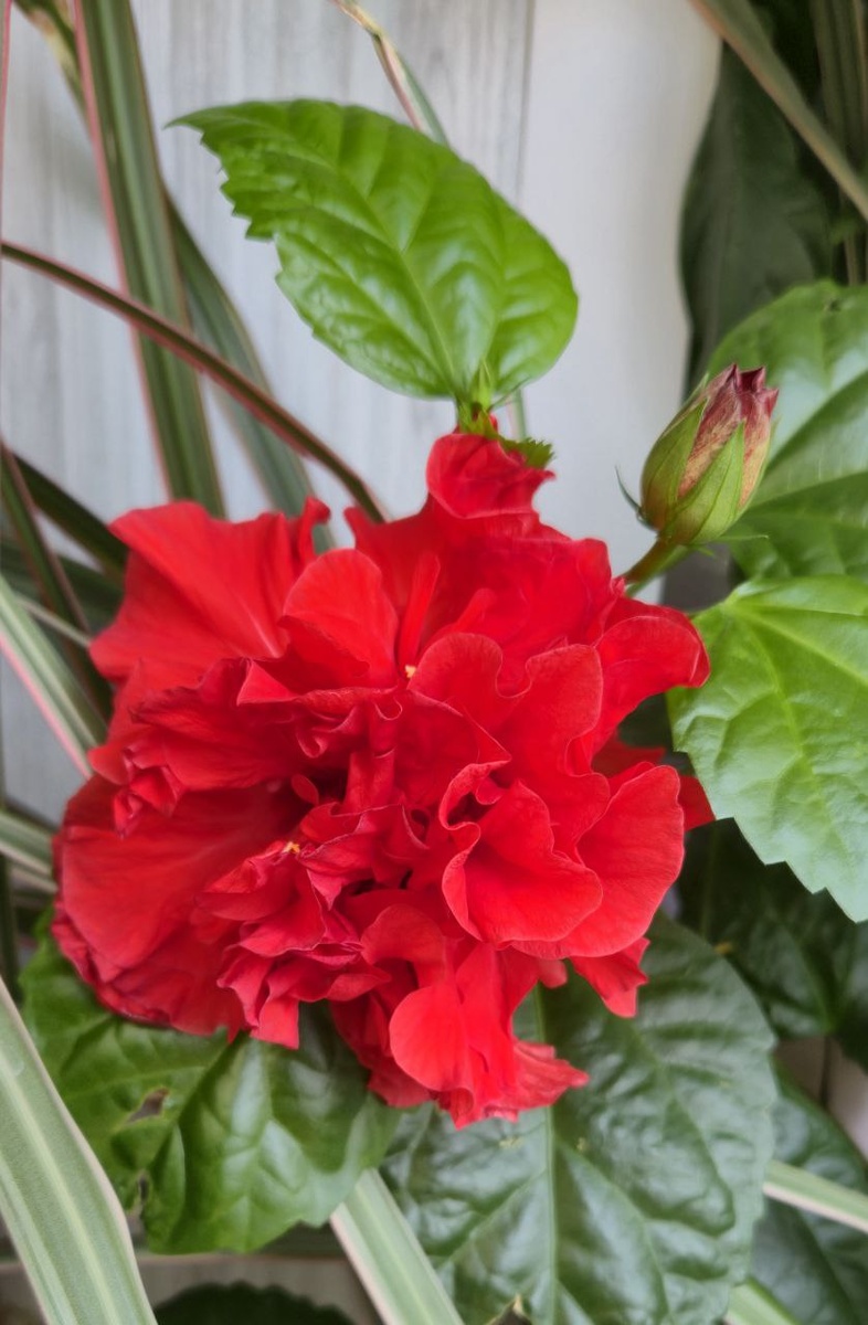 Фото автора канала