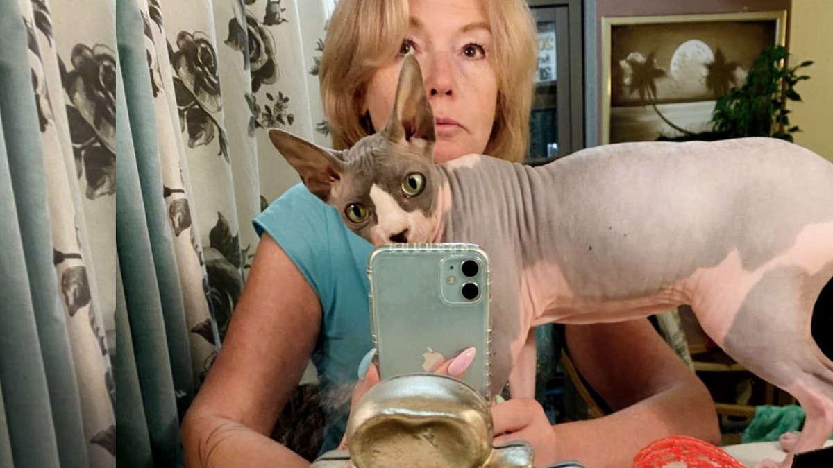 Без кота - фотка не та!!!