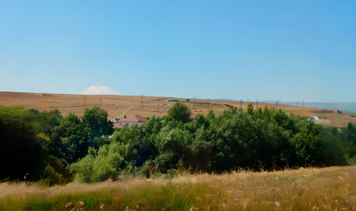 Просторы Ставропольского края поразили разноголосицей.
