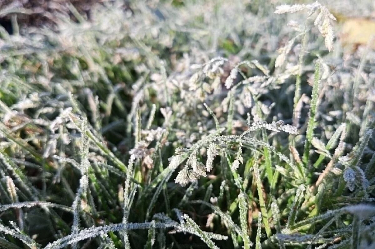    В горных районах Краснодарского края ночные температуры опустятся до -1