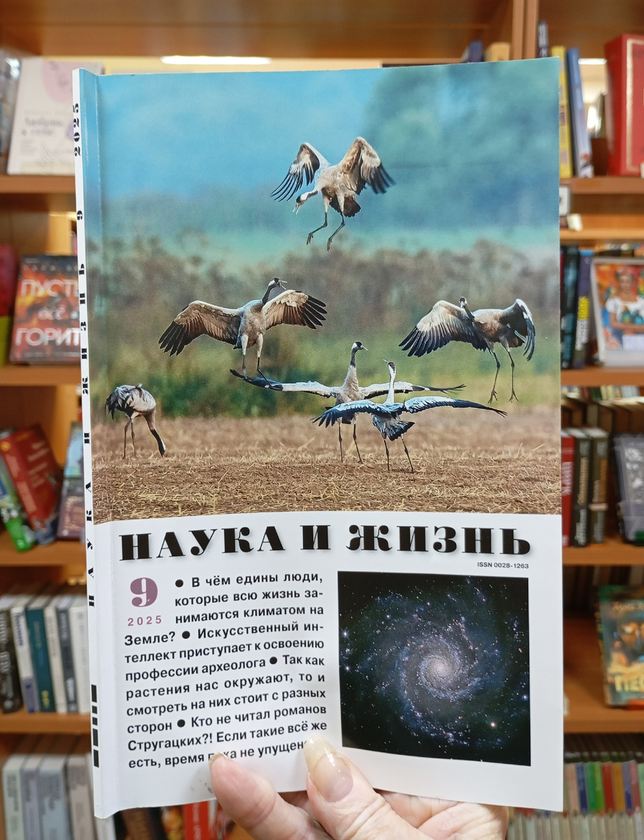 Фотография автора