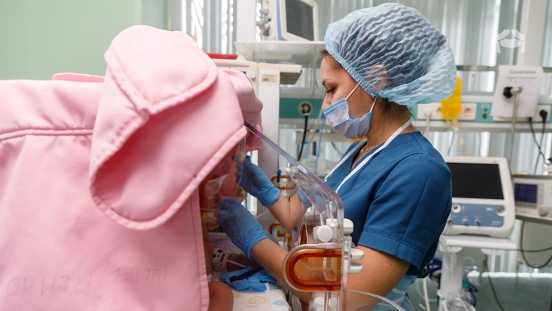      Фото: Дмитрий Ахмадуллин / / ИА «Победа26»