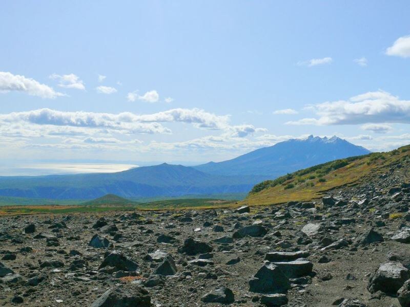 Вокруг пустынной «долины смерти» весьма разнообразный растительно-животный мир