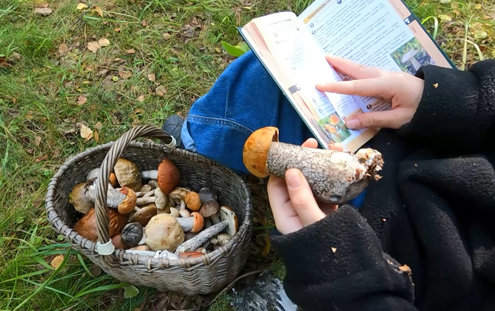    ©АО "ТВ Центр"