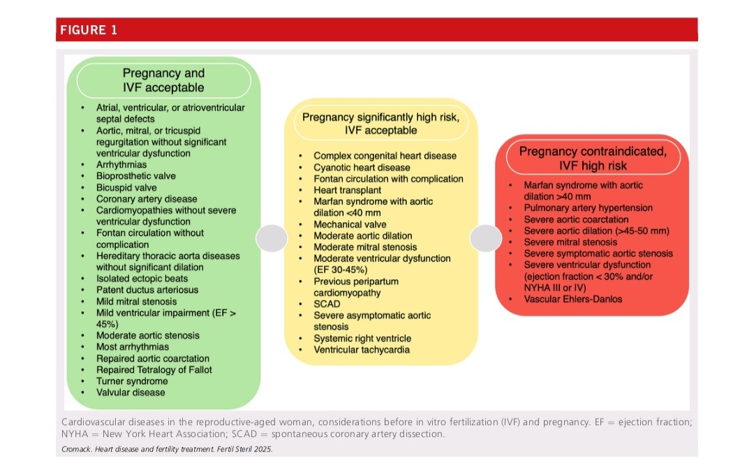 Сердечно-сосудистые заболевания у женщин репродуктивного возраста, рекомендации перед проведением экстракорпорального оплодотворения (ЭКО) и беременностью. Фракция выброса EF = ¼; NYHA = Нью-Йоркская ассоциация кардиологов; SCAD = спонтанная диссекция коронарных артерий.