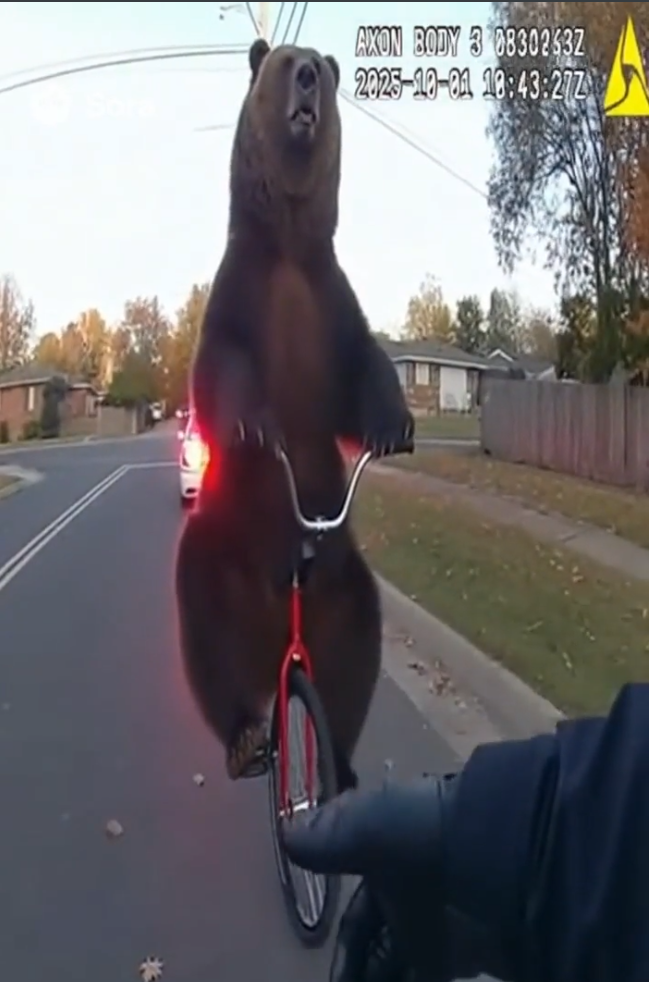 Примеры скриншотов из видео, сгенерированных Sora 2