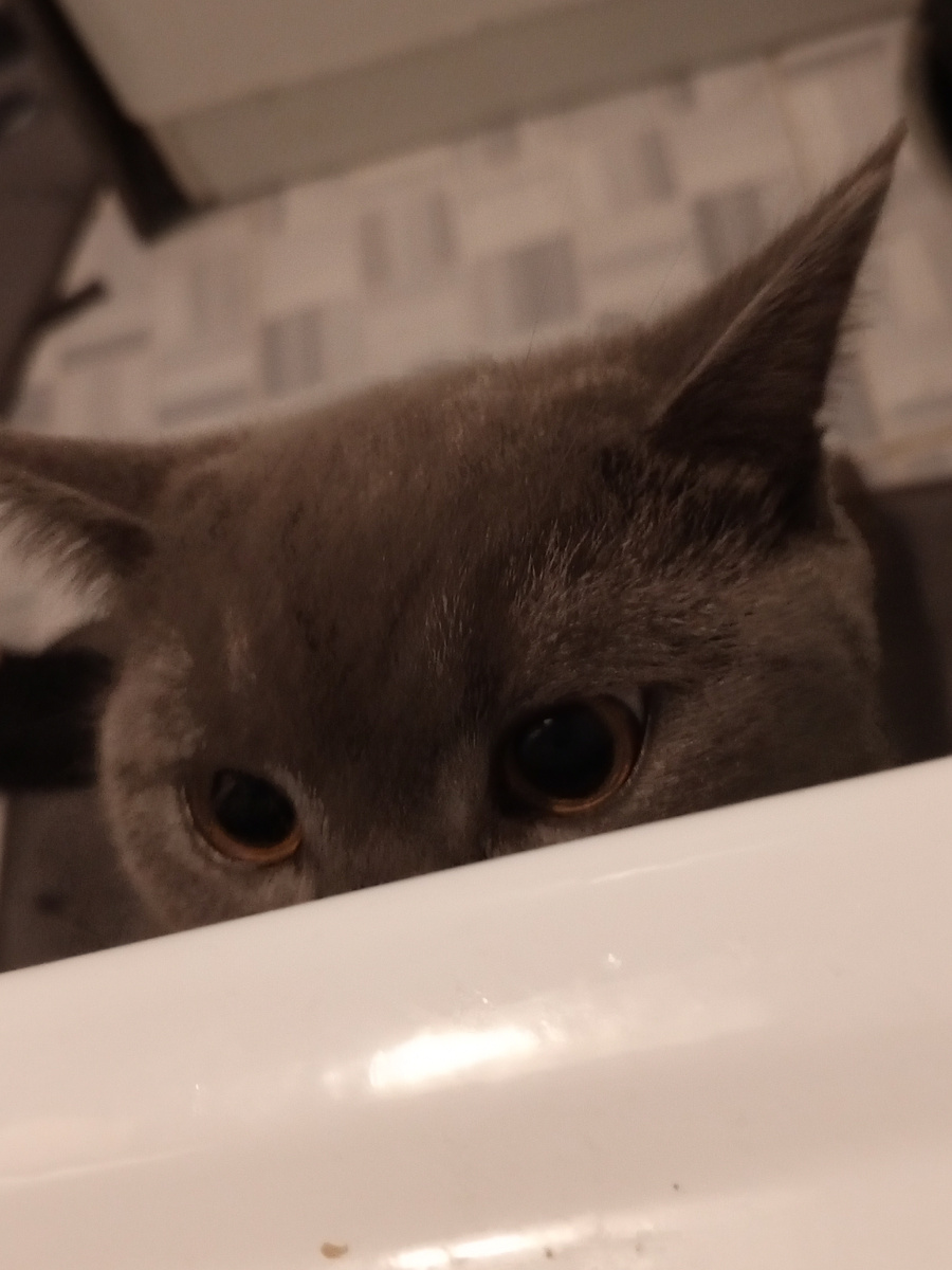 Из личного архива автора