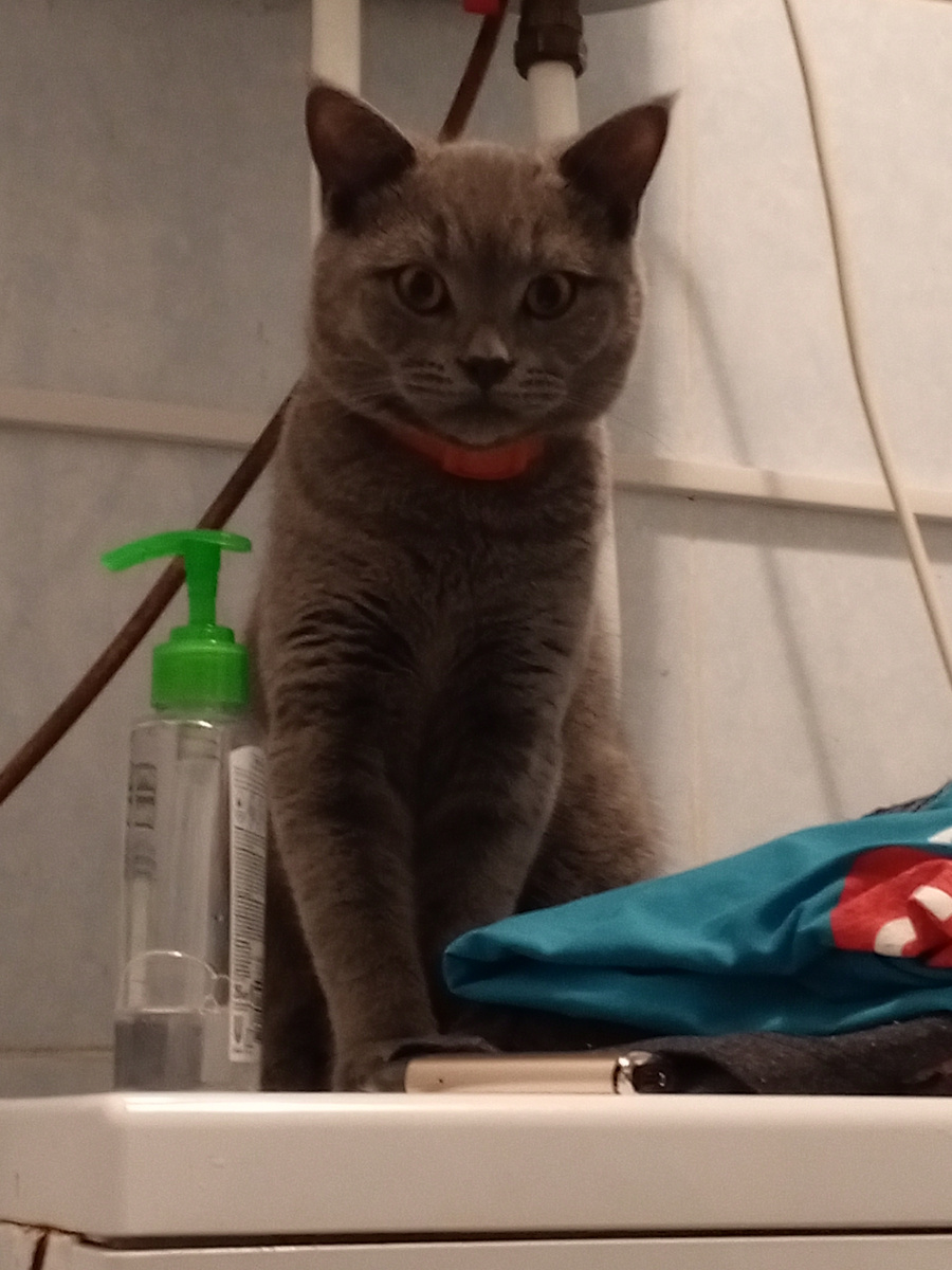 Из личного архива автора