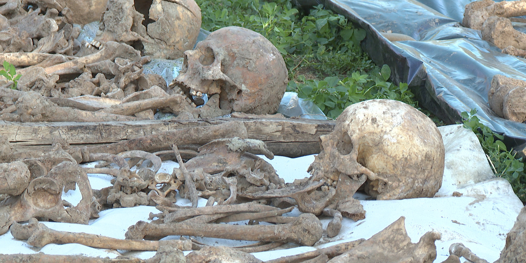 На приусадебном участке под Волгоградом обнаружили захоронение с останками 48 бойцов