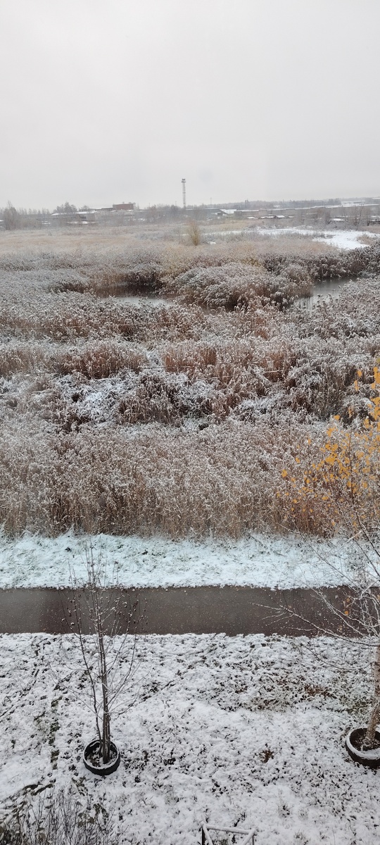 Фото из архива автора 