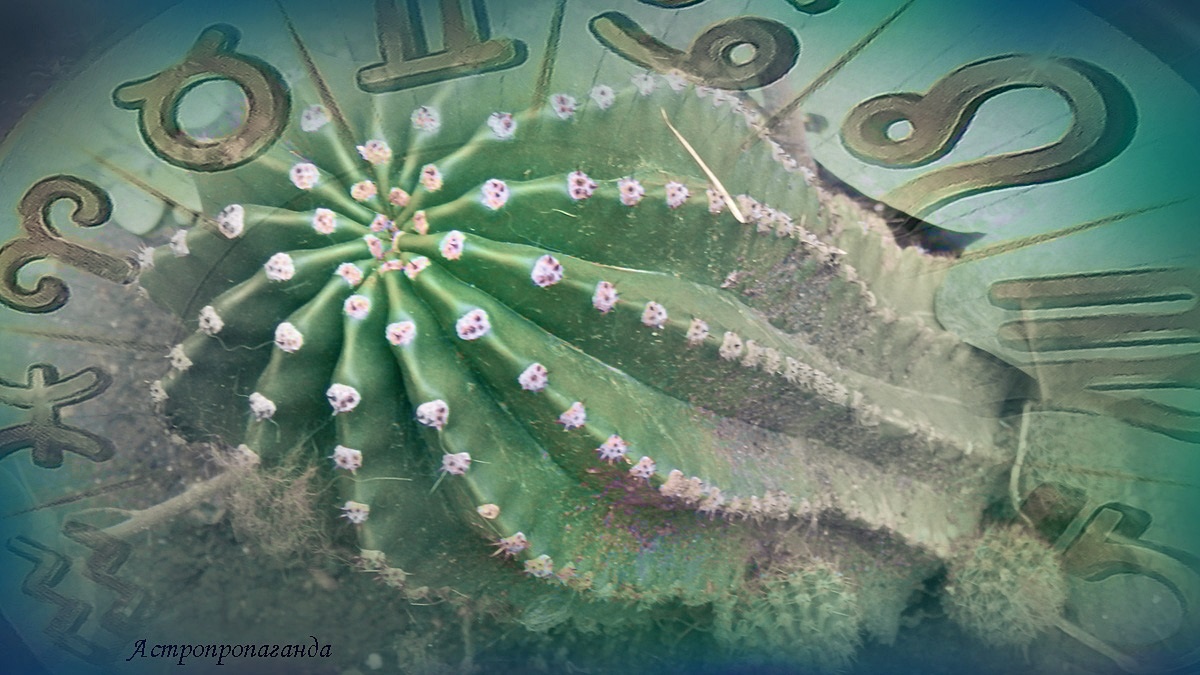 Гороскоп с 13 по 19 октября 2025: Венера в Весах и её аспекты | Недельный гороскоп