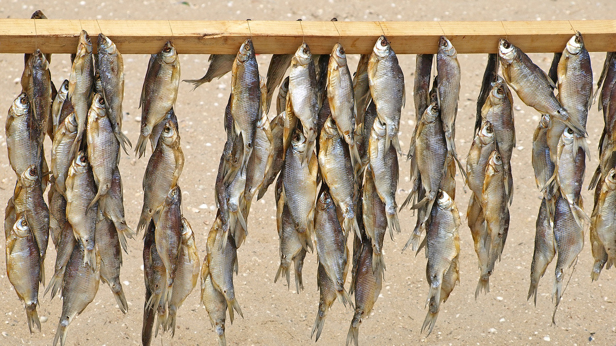 Фото с сайта: https://cake-boutique.ru/dom/sibirskaya-vobla