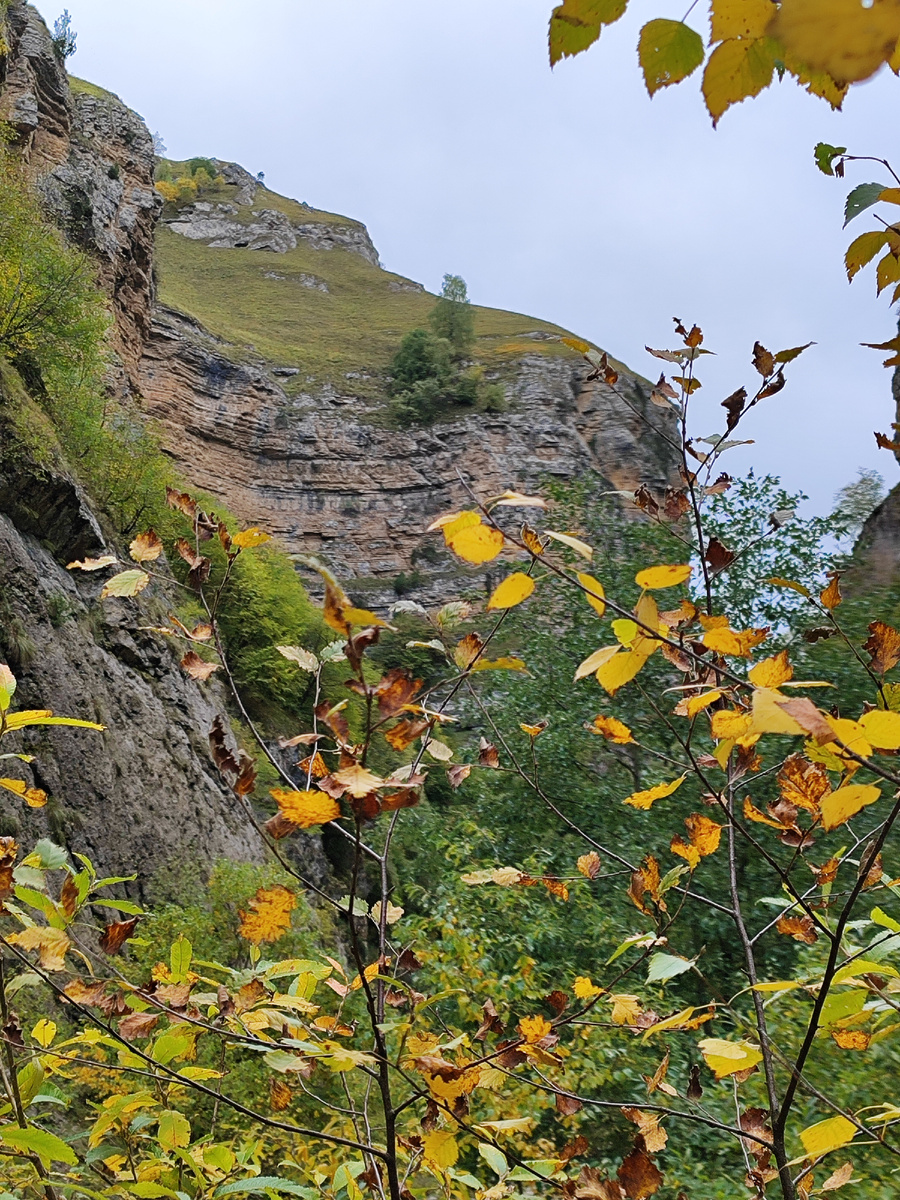 Тызыльское ущелье (октябрь 2025 года)