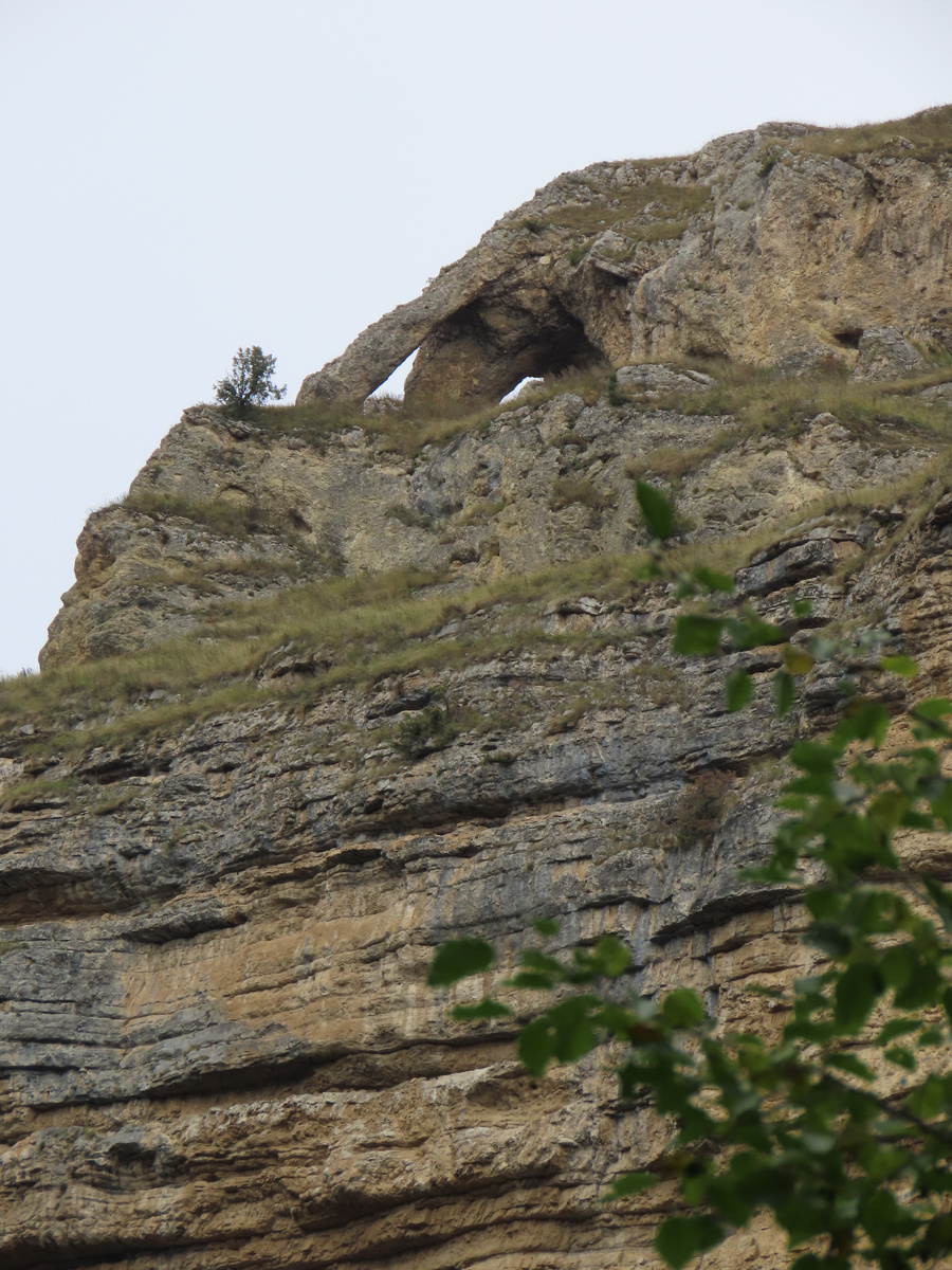 Интересная скала. По-моему, похожа на любопытного слоника (октябрь 2025 года)