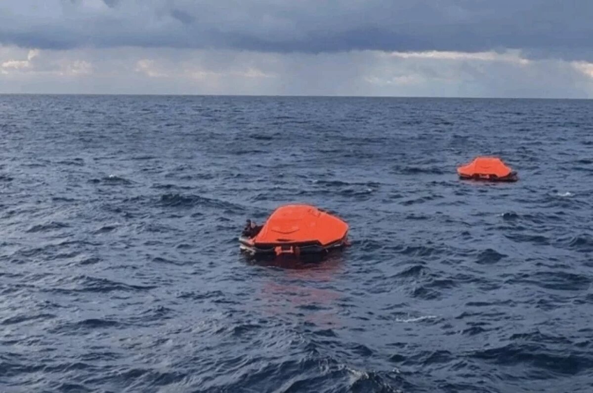    Грузовое судно с украинским экипажем затонуло в Чёрном море