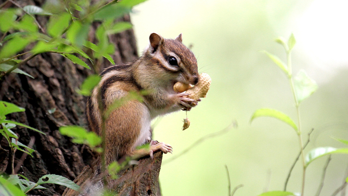 Фото с сайта: https://russian.cgtn.com/news/2024-09-11/1833775220686753793/index.html