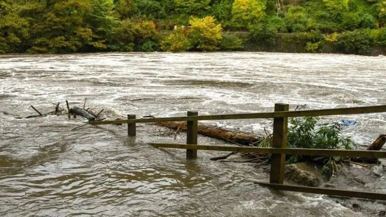    Фото: Ceri Breeze/Shutterstock/Fotodom