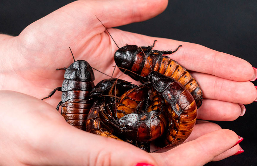 Это тебе, мама.