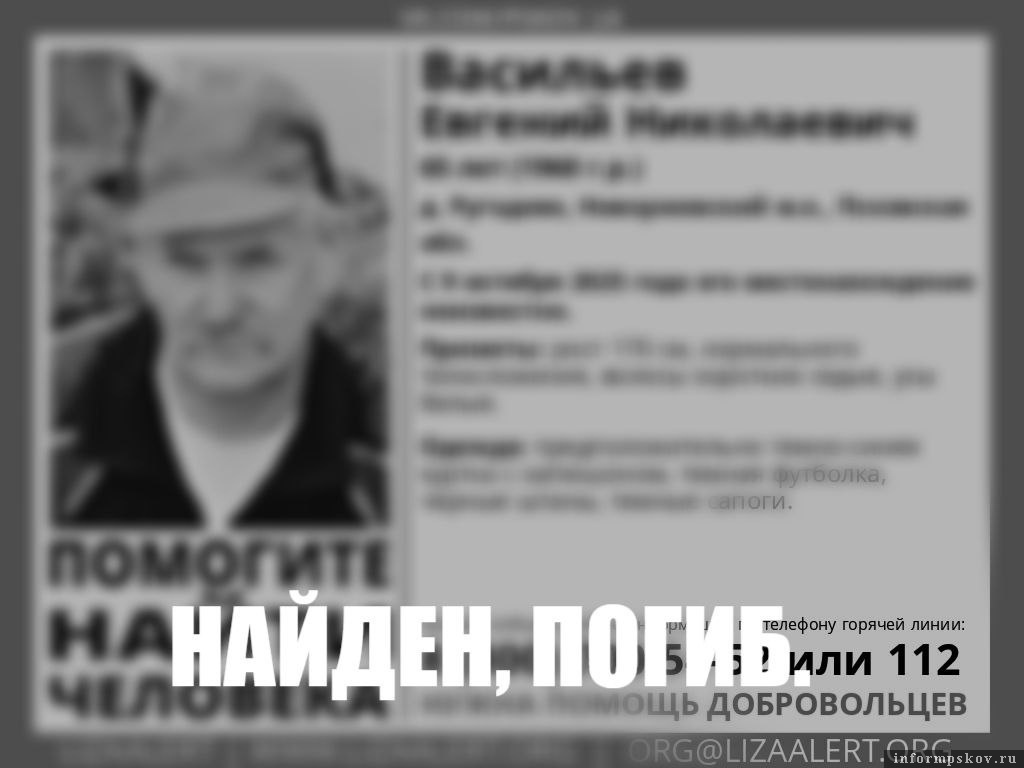 Фото: поисково-спасательный отряд «ЛизаАлерт» Псковской области