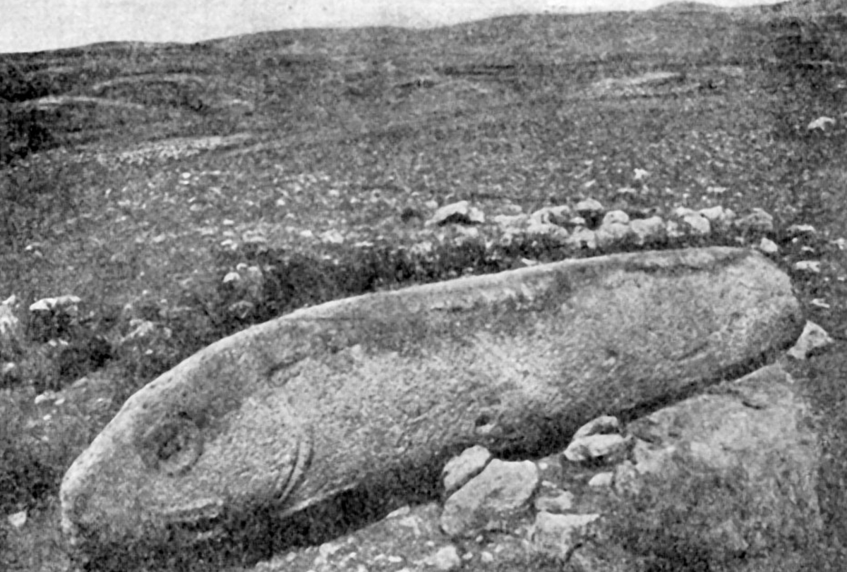 Вишапакар в форме рыбы