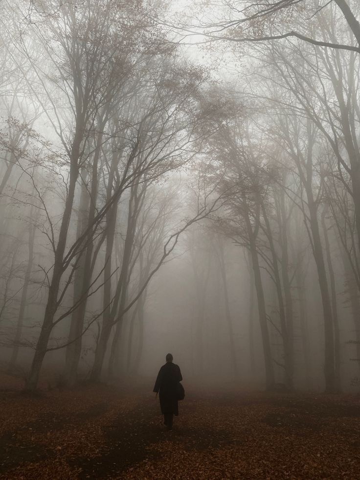 Источник; https://pin.it/7sT7lCnX2