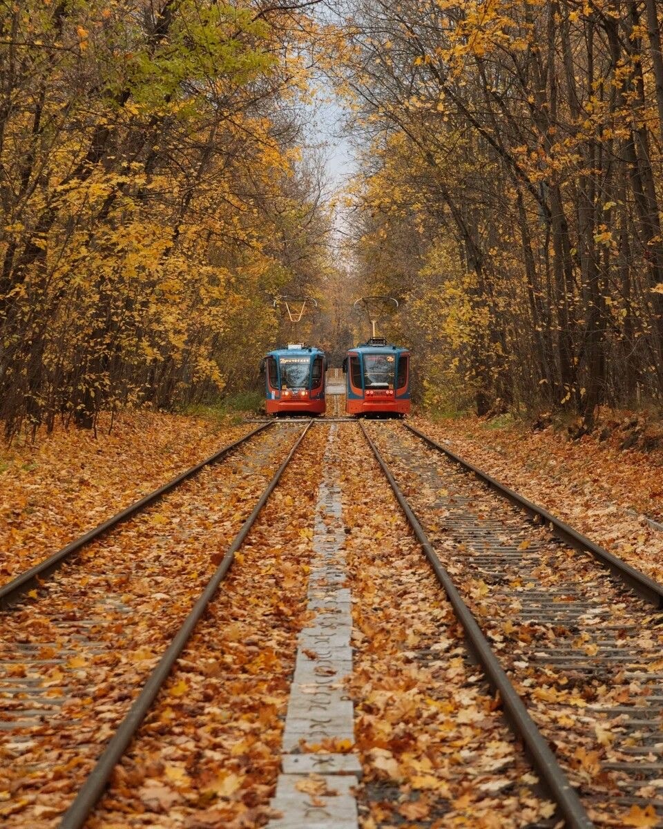 Источник: https://pin.it/sLT05AnW8