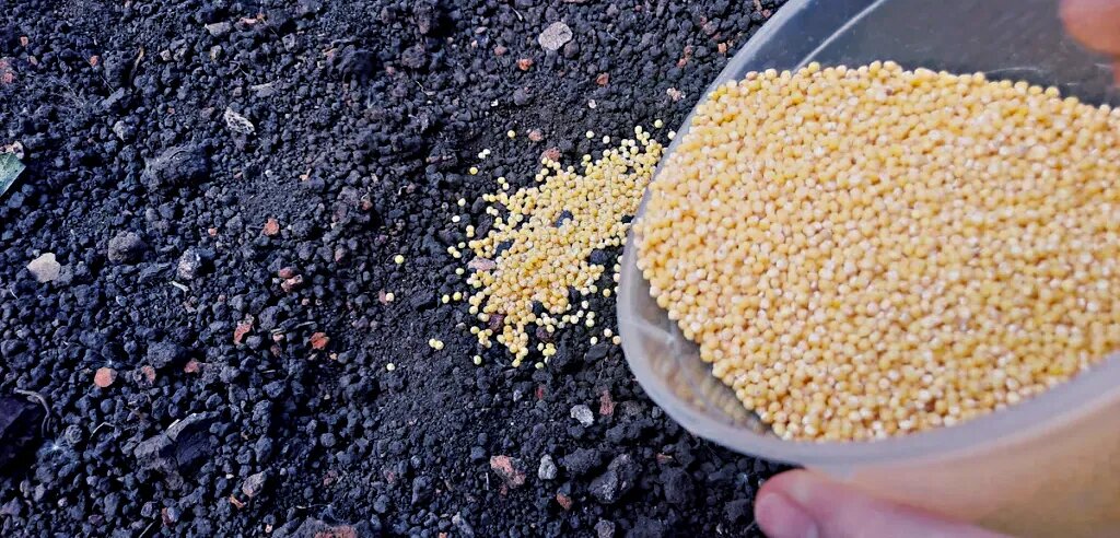 Берем удобрения прямо из кухонного шкафа