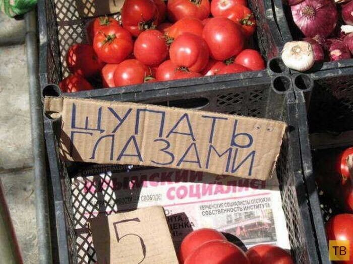 фото с просторов интернета