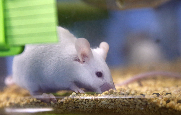 Валерий Матыцин/ТАСС