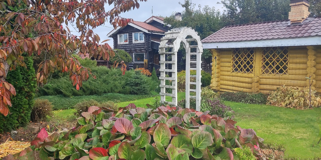 Прощание с летом, или До свидания, дача!