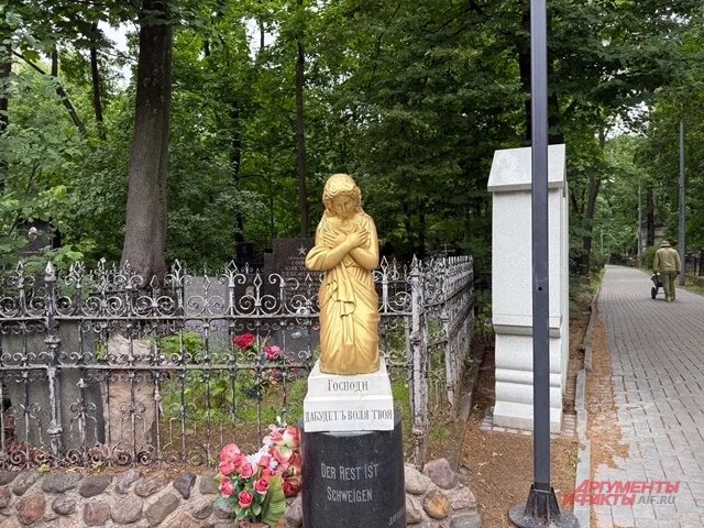    Фото: АиФ/ Ирина Курнакова