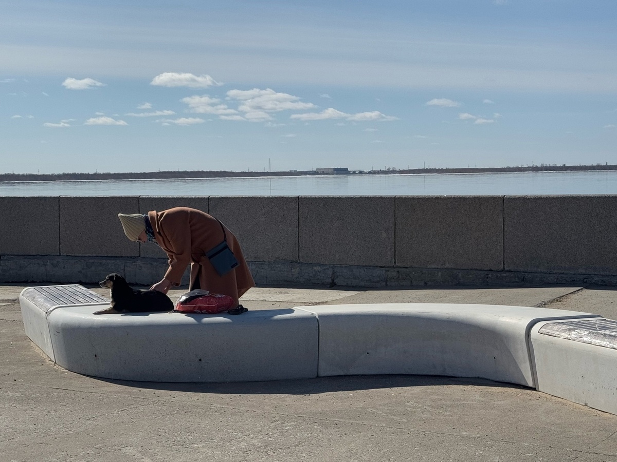    Благословленные при рождении: у людей с этими числами в дате рождения есть свой особый ангел‑хранитель