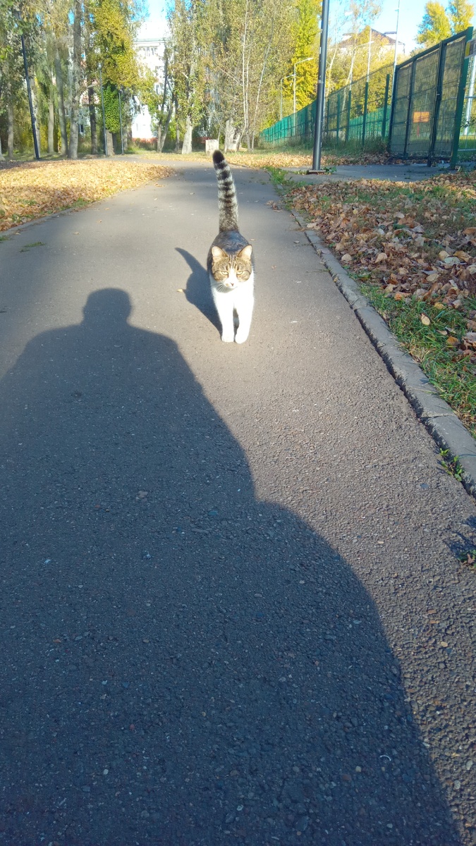 А вот и он, собственной персоной. Прошу любить и жаловать🙃