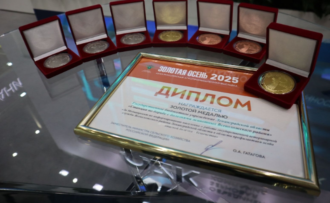    © Всеволожский муниципальный район ЛО